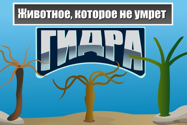 Не получается зайти на кракен