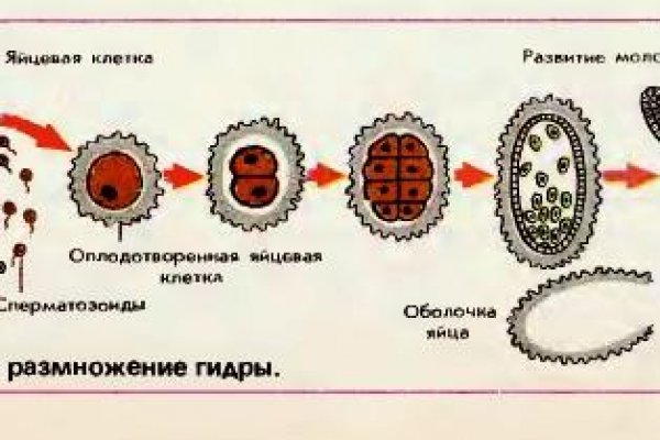 Кракен ссылка даркнет